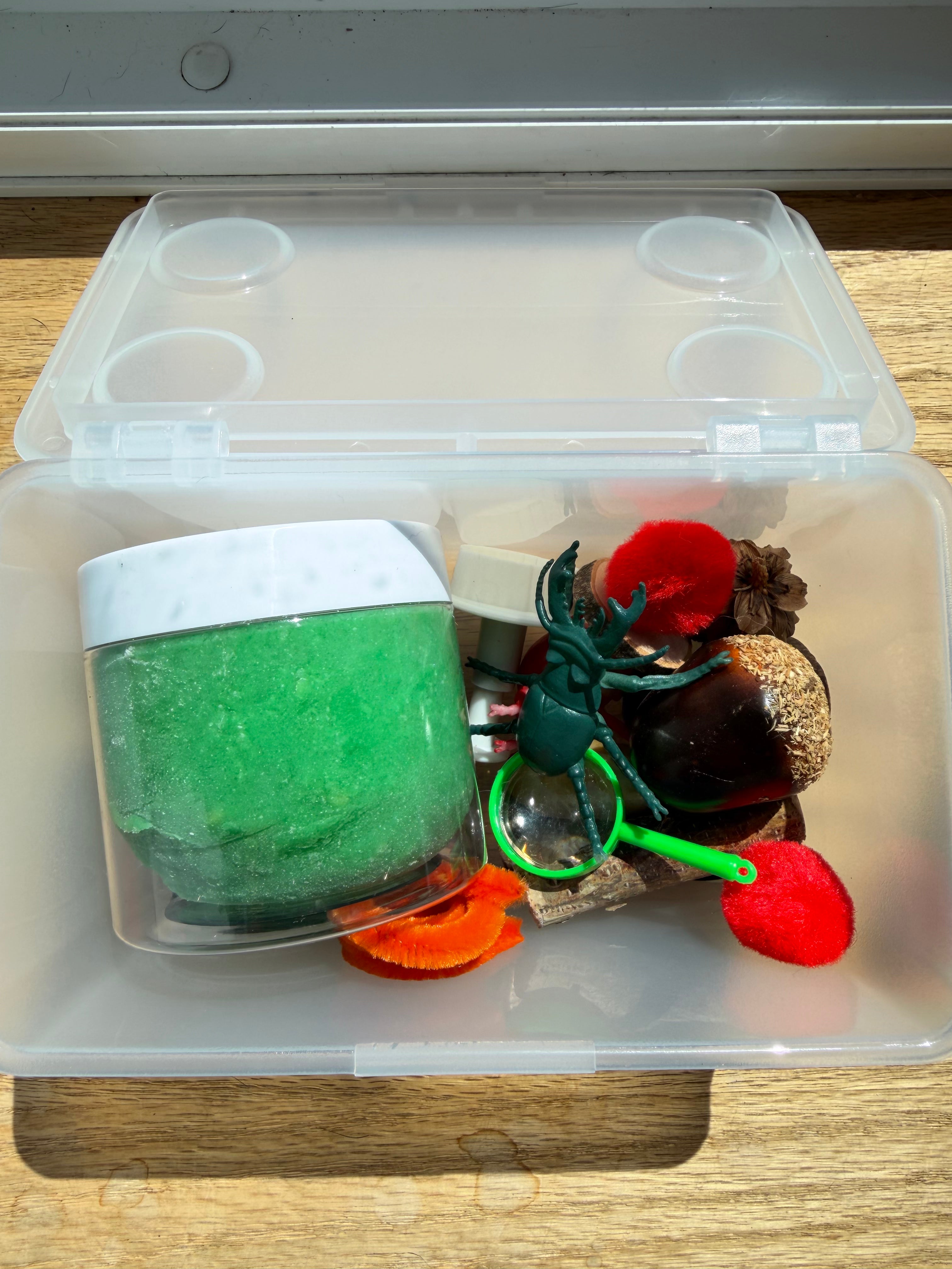 Medium Bug Sensory Bin