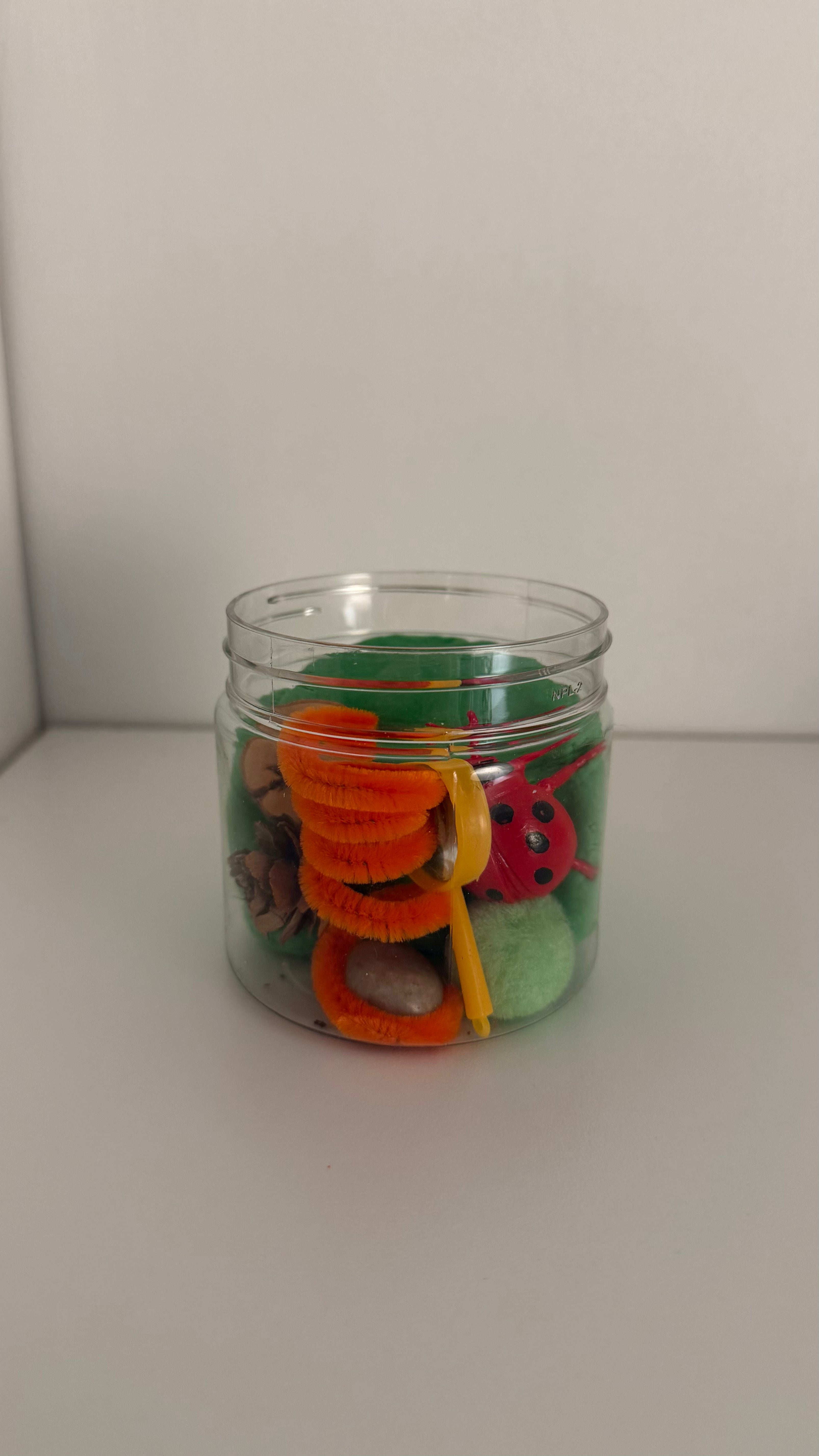Small Bug Jar